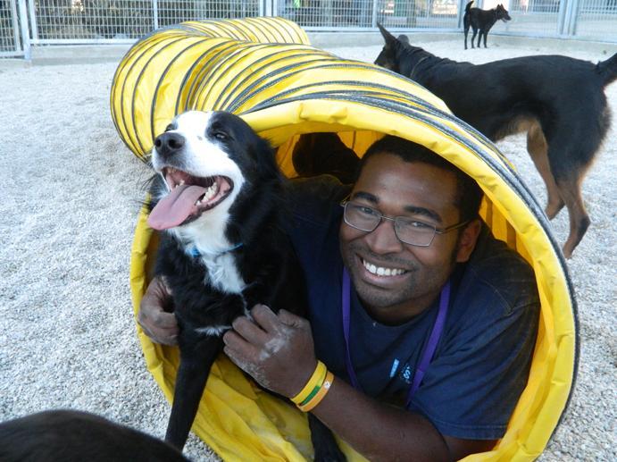 Pictures for Lucy’s Doggy Daycare and Spa in San Antonio, TX 78204